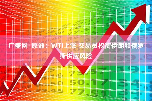 广盛网  原油：WTI上涨 交易员权衡伊朗和俄罗斯供应风险