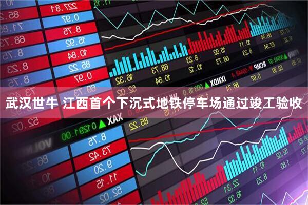 武汉世牛 江西首个下沉式地铁停车场通过竣工验收