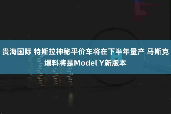 贵海国际 特斯拉神秘平价车将在下半年量产 马斯克爆料将是Model Y新版本