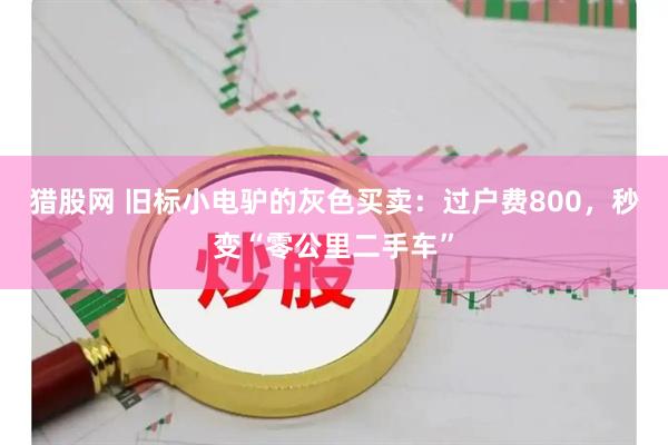猎股网 旧标小电驴的灰色买卖：过户费800，秒变“零公里二手车”